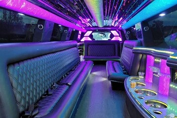 Woodland Limo Interior